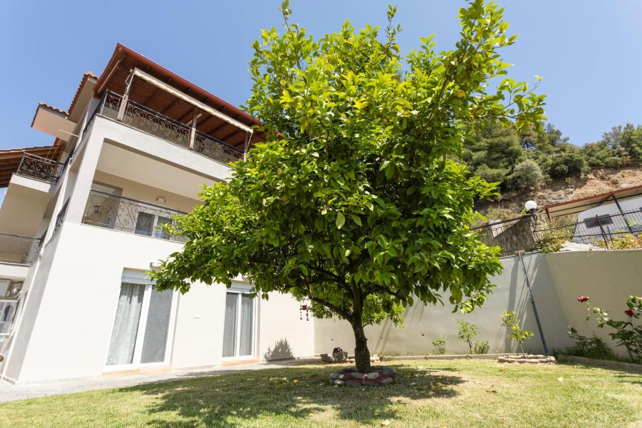 Fotini's House