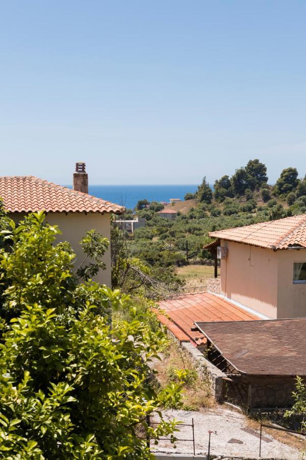 Apartment Fotini's House *