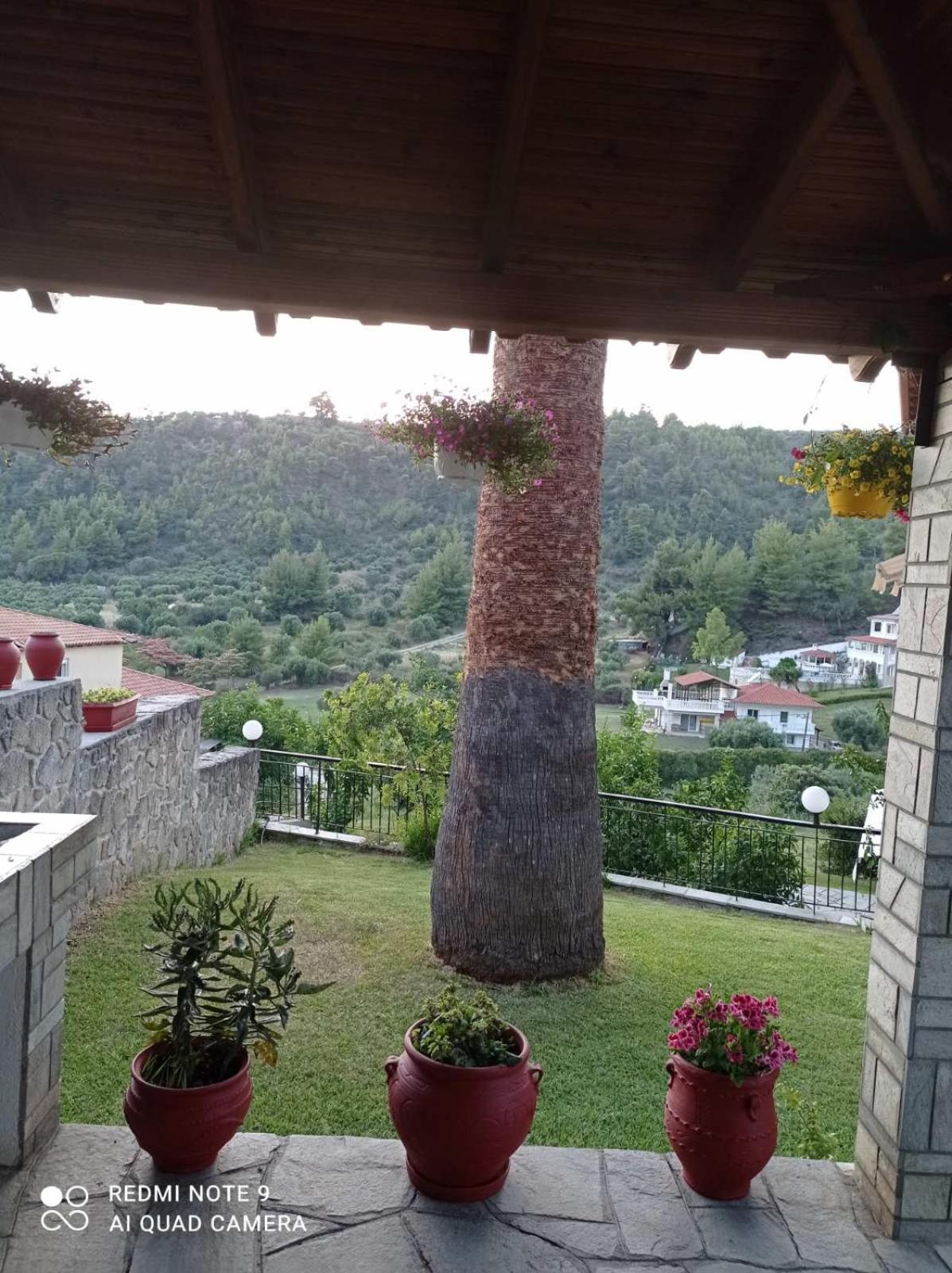 Fotini's House Apartment Nea Skioni